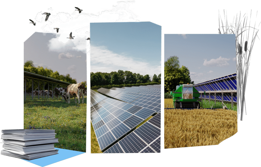 Collage de photos vaches d'élevage et panneaux solaires