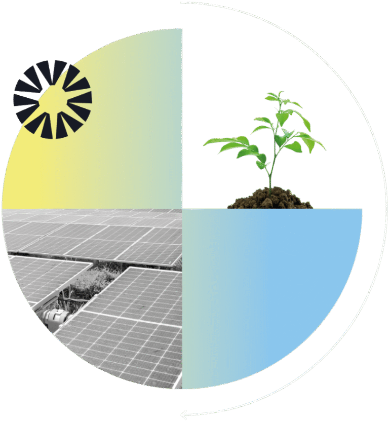 Collage de 4 images avec des panneaux solaires et une jeune plante