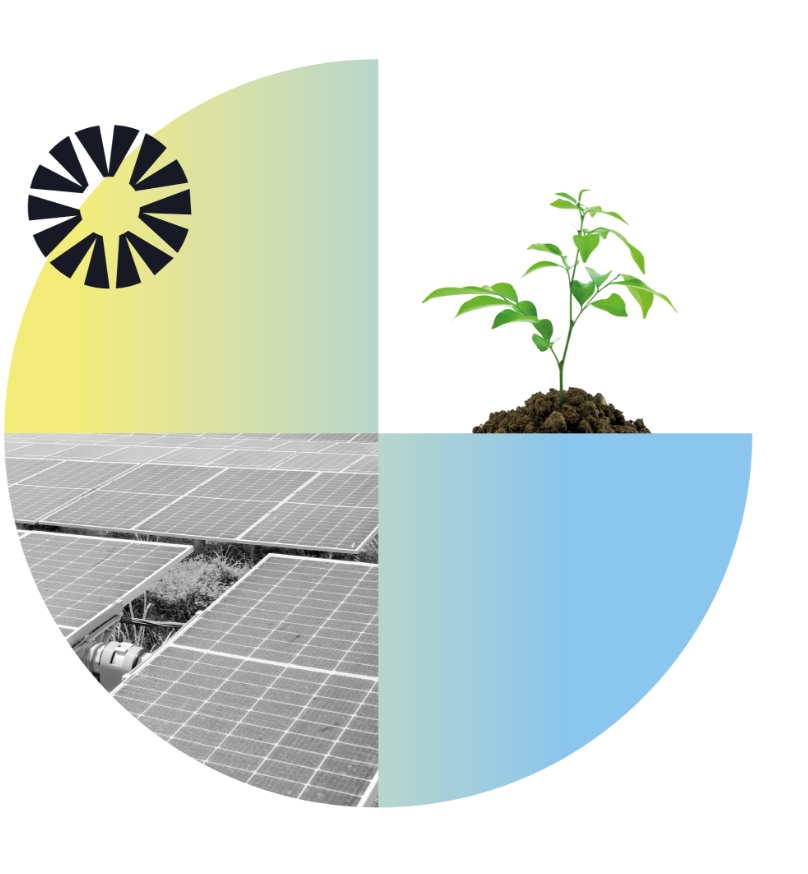 Collage de 4 images avec des panneaux solaires et une jeune plante