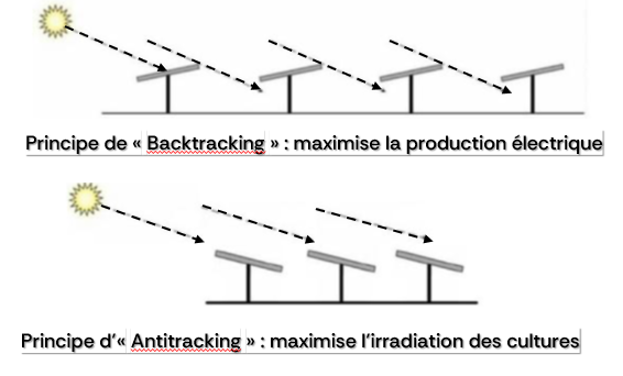 Schéma backtracking/antitracking