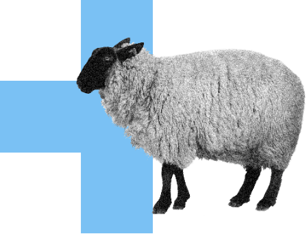 Mouton sur une croix