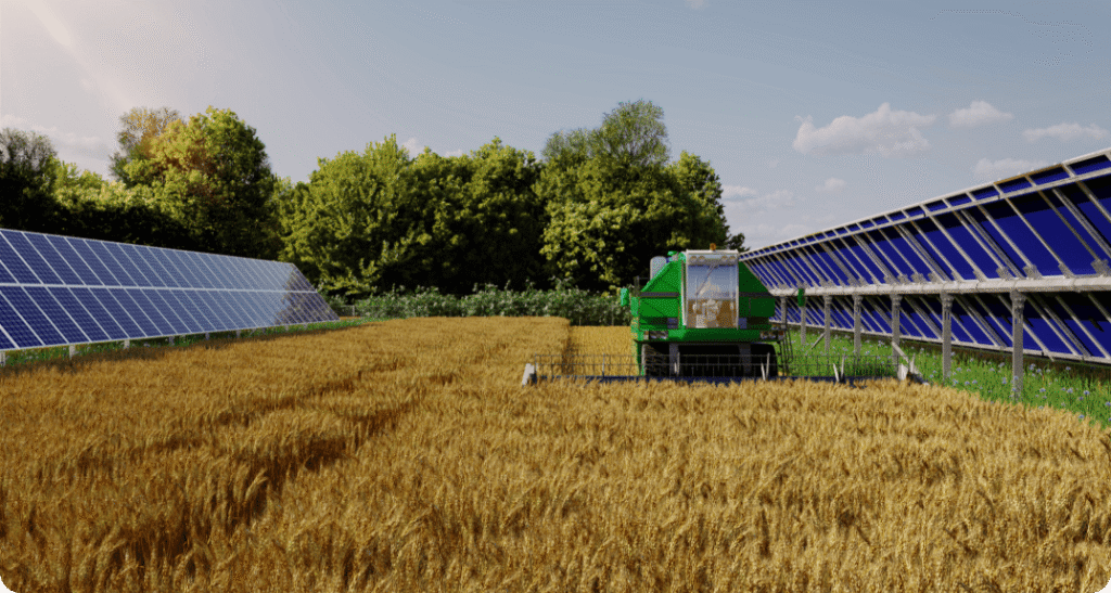 Moissonneuse batteuse dans un champ entouré de panneaux solaires